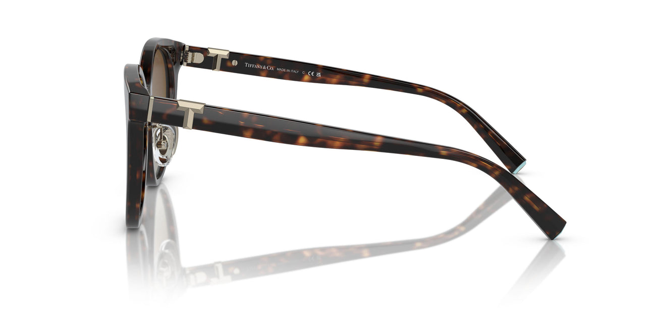 8015T5 - Tortoise - Polar Brown Gradient