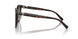 8015T5 - Tortoise - Polar Brown Gradient