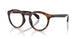 5039 - Tortoise