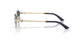 300680 - Gold - Dark Blue