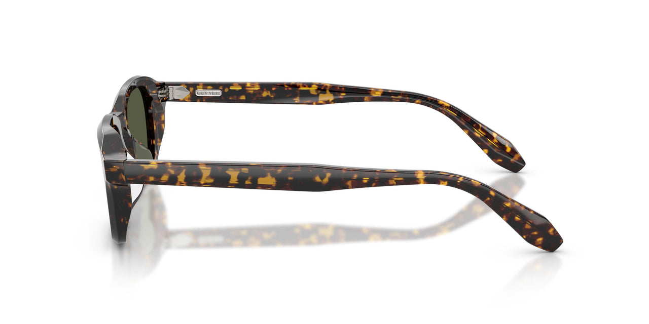 174152 - Tortoise - G-15