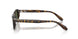 174152 - Tortoise - G-15