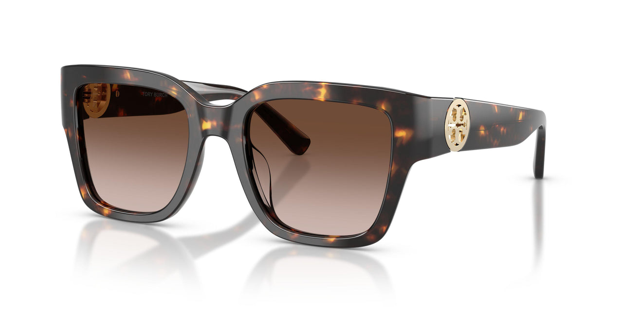 198113 - Tortoise - Brown
