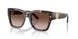 198113 - Tortoise - Brown