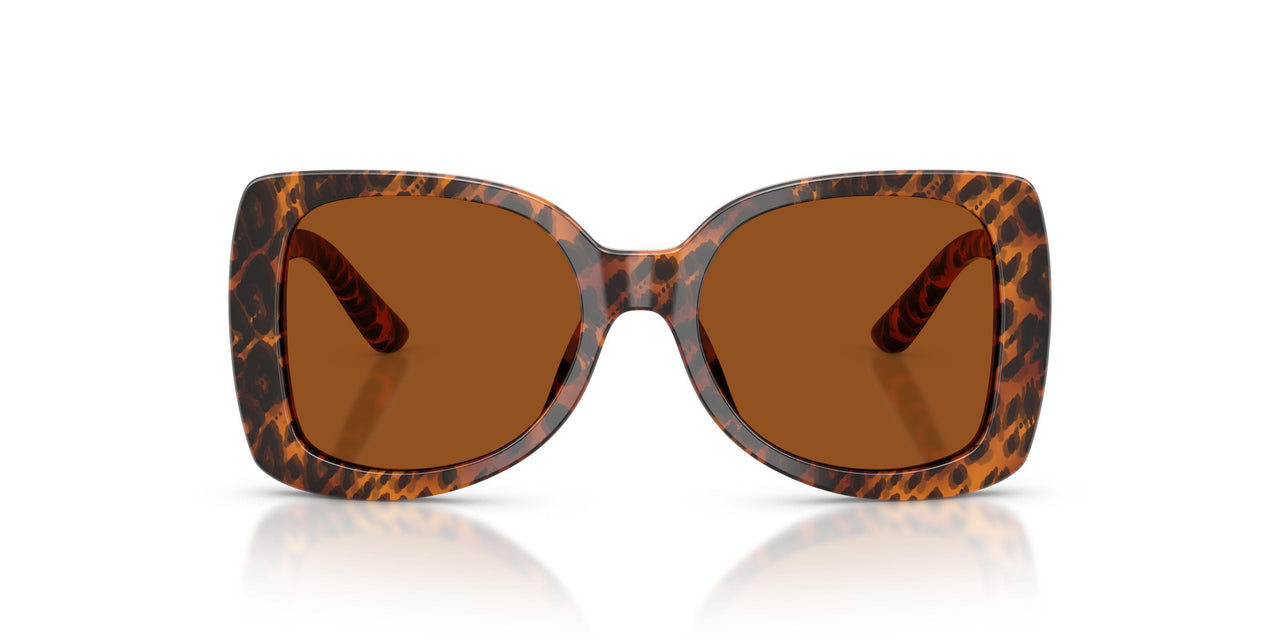 347073 - Brown - Dark Brown
