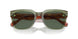 282171 - Green - Dark Green