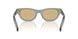 21J70R - Grey - Light Brown