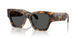 551487 - Tortoise - Dark Grey