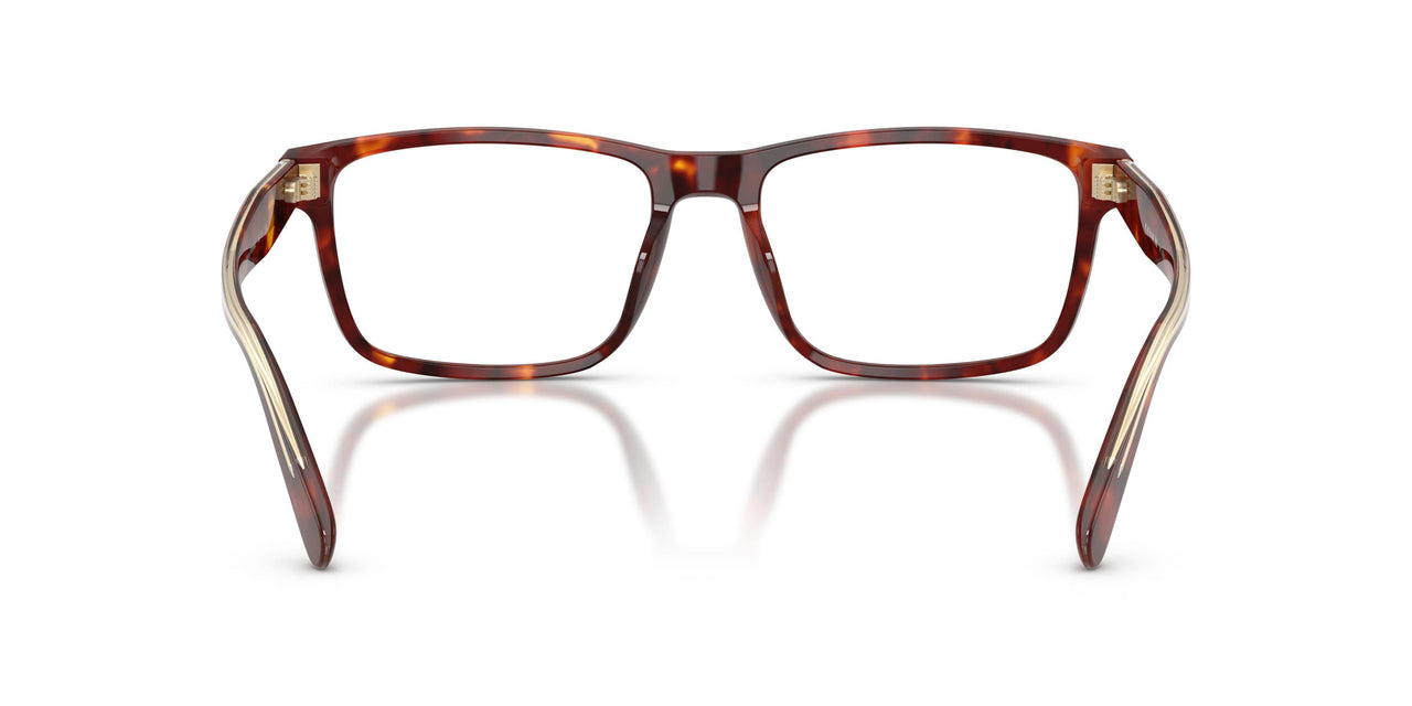 5938 - Tortoise