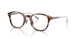 3038 - Tortoise