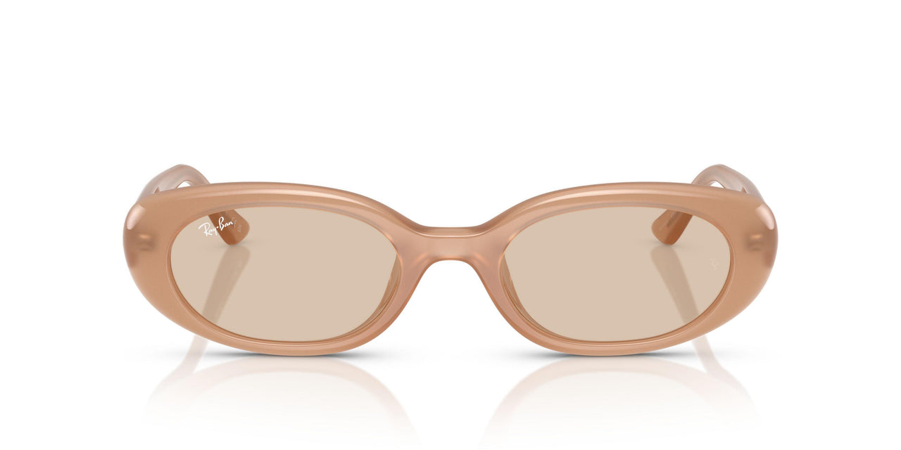 678793 - Brown - Light Brown