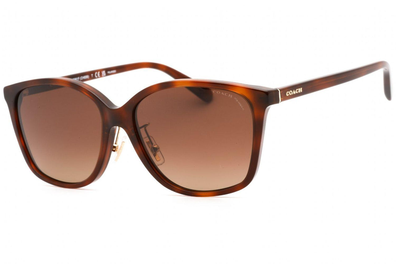 Coach 0HC8361F Sunglasses