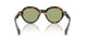 300682 - Tortoise - Green