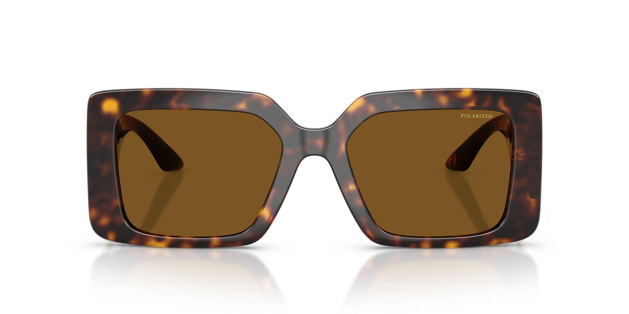 108/83 - Tortoise - Brown Polar