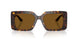108/83 - Tortoise - Brown Polar