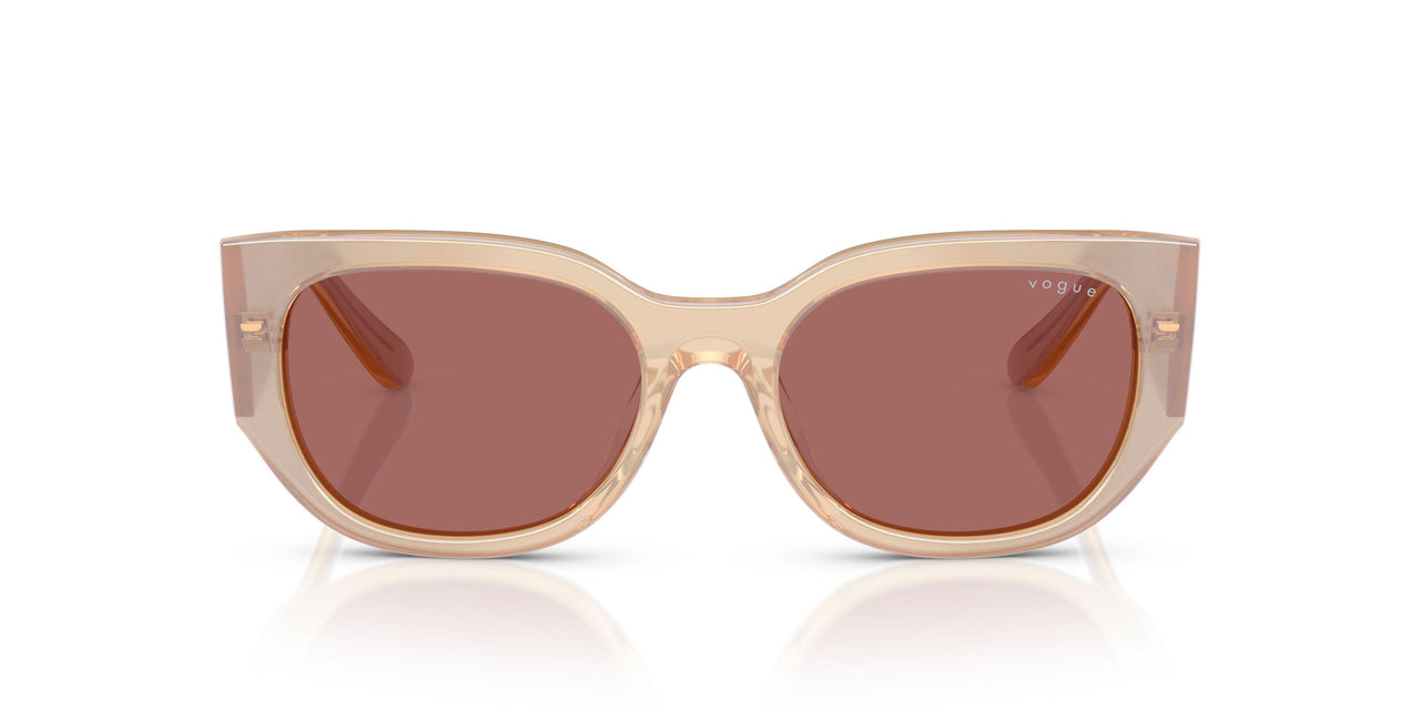 323469 - Brown - Dark Violet