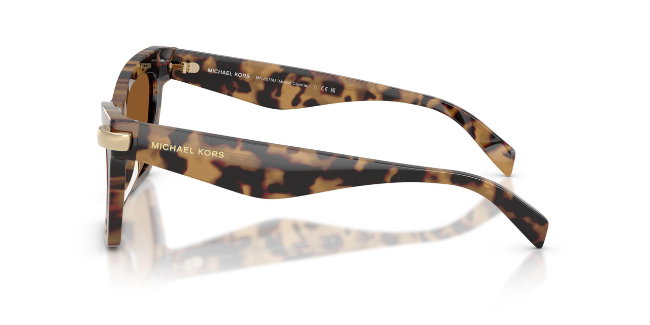 393073 - Tortoise - Amber