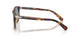 115856 - Tortoise - Light Blue