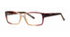 Modern Plastics I ARRIVAL Eyeglasses