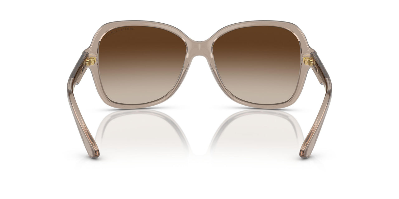 824013 - Brown - Gradient Brown