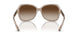 824013 - Brown - Gradient Brown