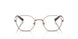 1021 - Brown