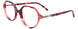 30 - Cherry Tortoise & Transparent Cherry