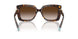 80153B - Tortoise - Brown Gradient
