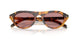 29C05Z - Tortoise - Dark Pink Polar