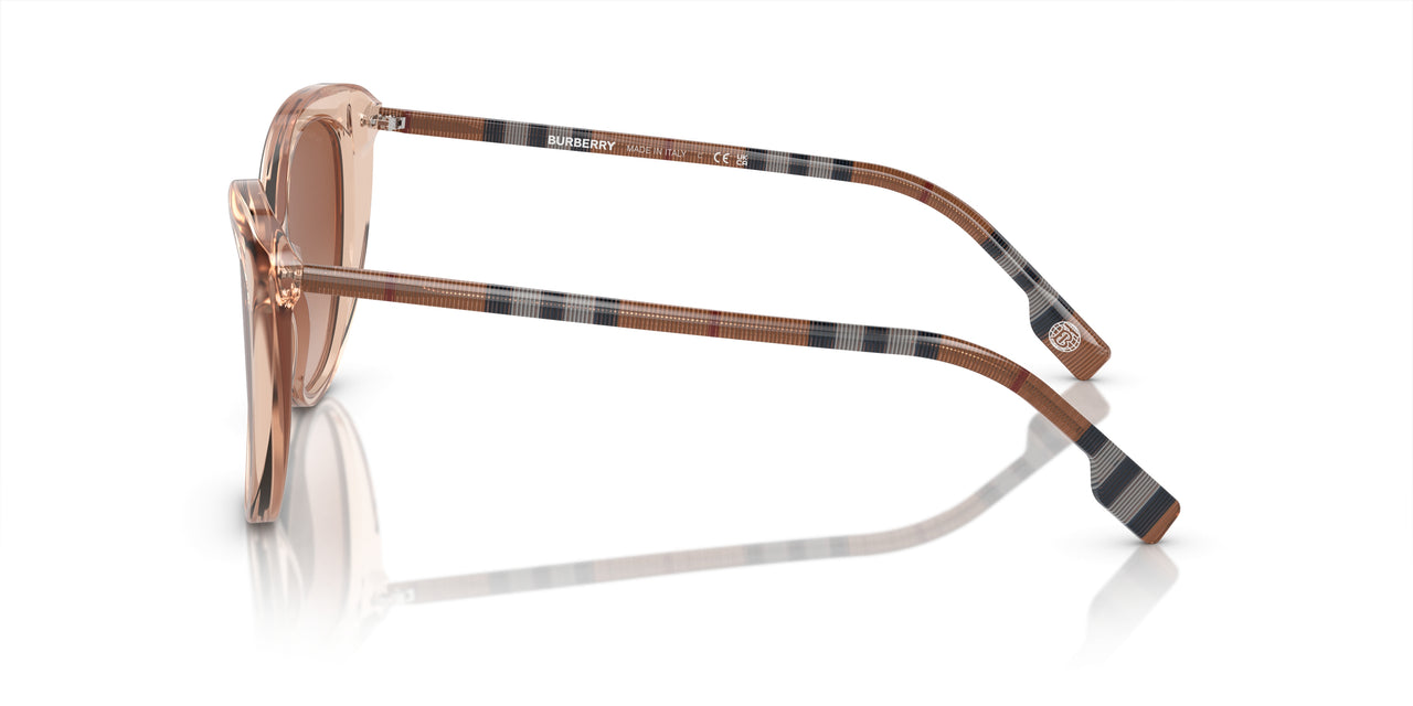 408813 - Pink - Brown Gradient