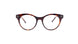 C3 - C3 Tortoise