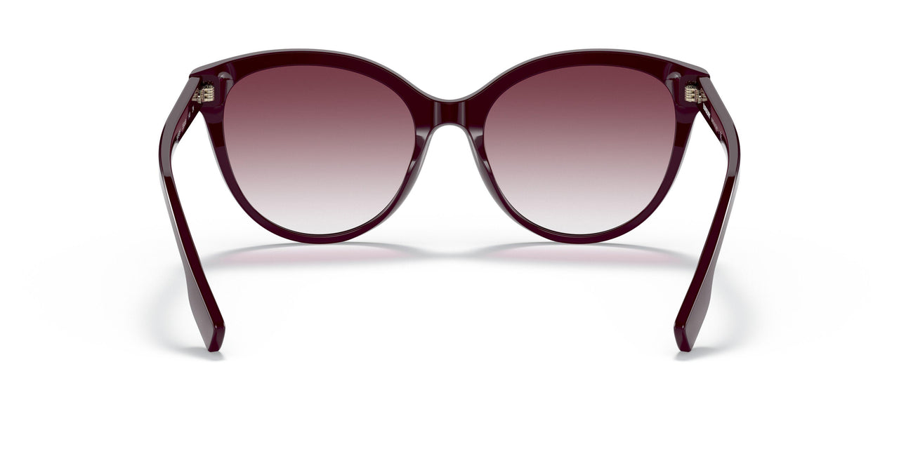39798H - Bordeaux - Gradient Violet