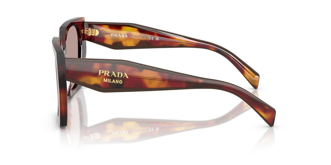 22A20I - Tortoise - Light Purple Brown