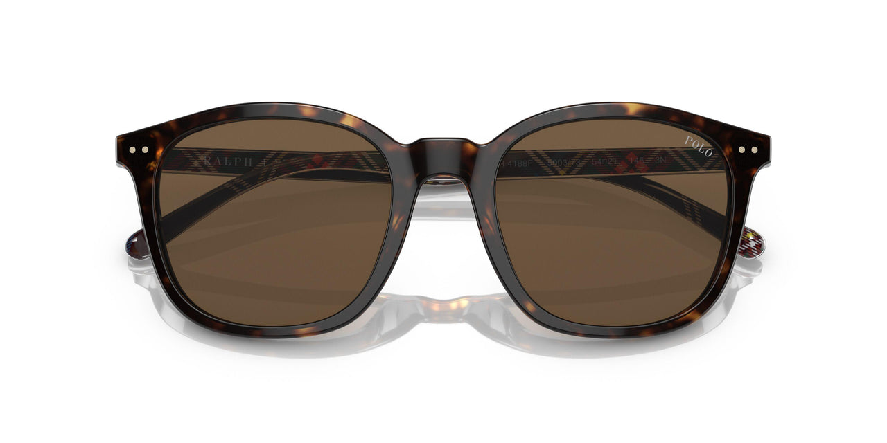 500373 - Brown - Brown