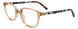 10 - Brown