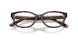 6241 - Tortoise
