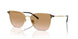 301313 - Gold - Gradient Brown