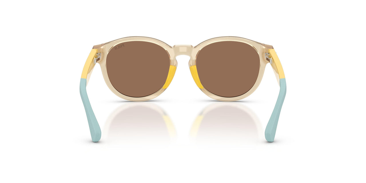 575673 - Yellow - Dark Brown