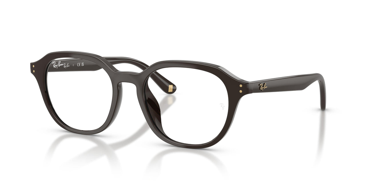 8493 - Brown