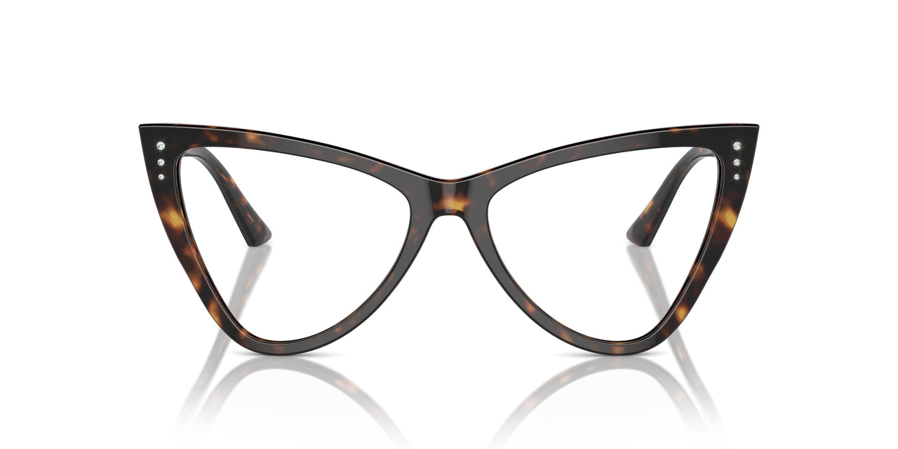 5002 - Tortoise
