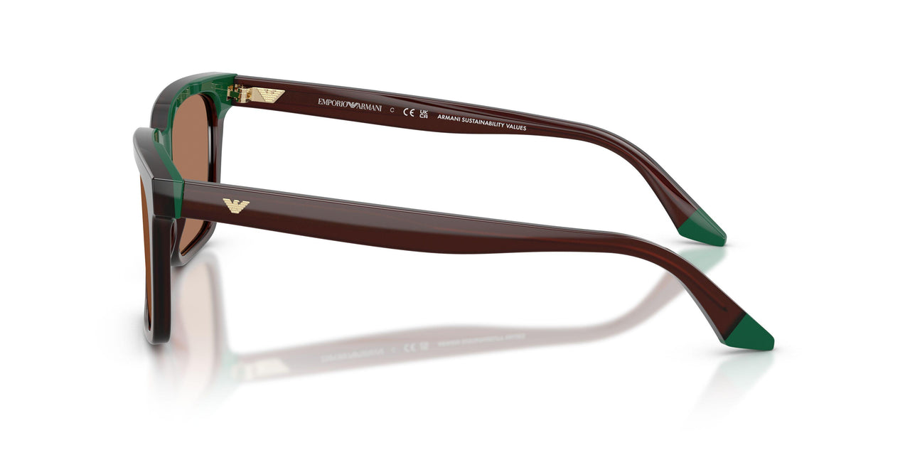 631573 - Brown - Brown