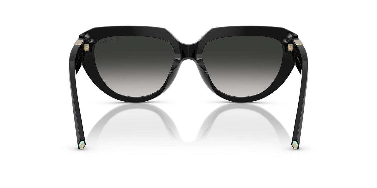 80013C - Black - Grey Gradient