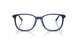 3009 - Blue