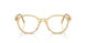 11T1O1 - Brown
