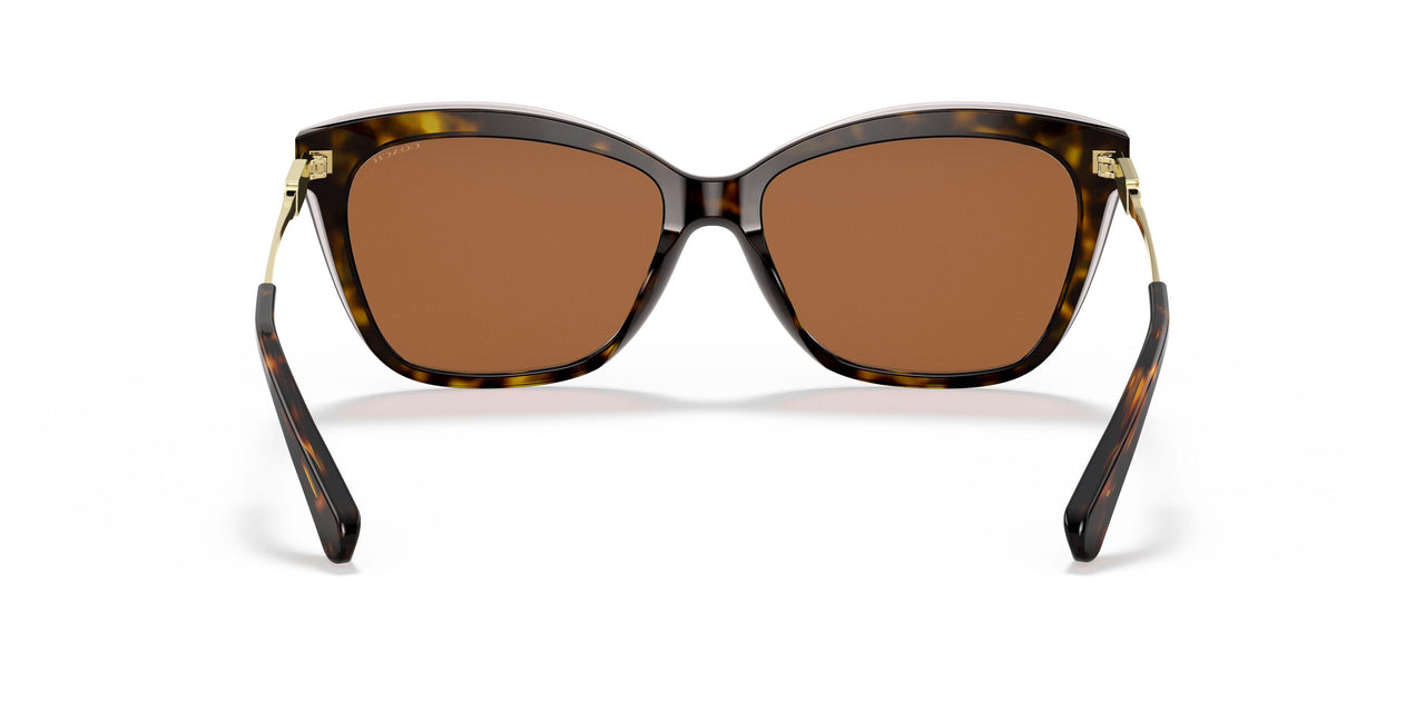 512073 - Havana - Brown