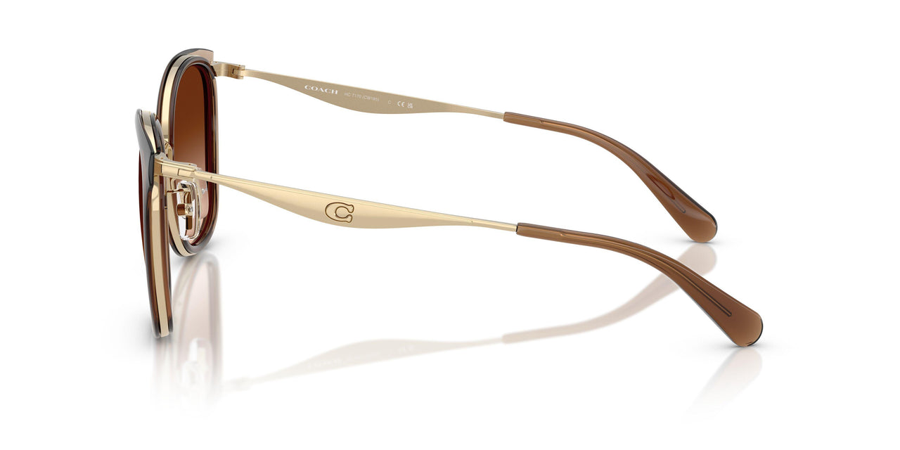 945374 - Gold - Brown Gradient