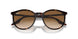 902/51 - Tortoise - Clear/brown
