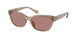 612073 - Transparent - Light Rose Brown