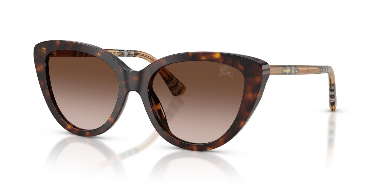421613 - Brown - Brown Gradient