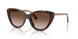 421613 - Brown - Brown Gradient